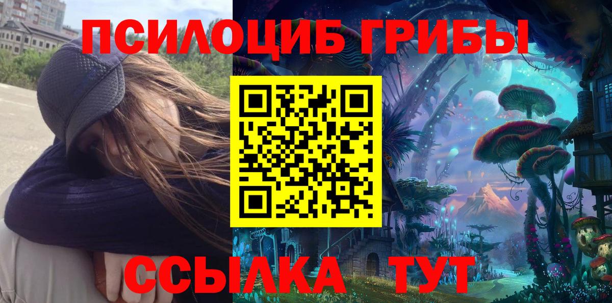 Дмитров  Галлюциногенные грибы Cubensis  Вход с VPN 